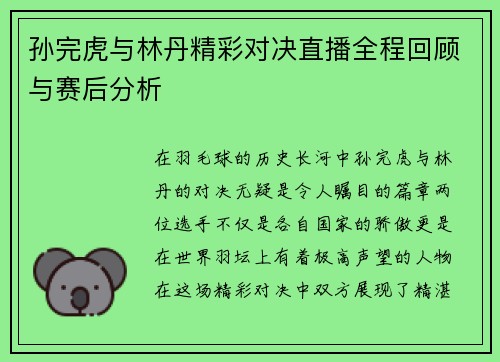 孙完虎与林丹精彩对决直播全程回顾与赛后分析